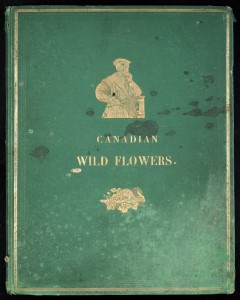 Cover of The Book