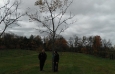 kentucky-coffee-trees-braun-oct-175th-2012-5