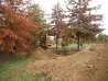pin-oaks-braun-oct-17th-2012-19