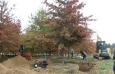 pin-oaks-braun-oct-17th-2012-2