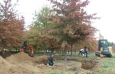 pin-oaks-braun-oct-17th-2012-3