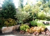 Backyard Garden2